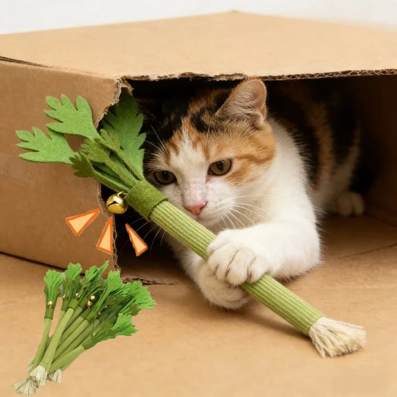Jouets à mâcher pour chat, herbe-aux-chats, nettoyage des dents de chat, interactif, auto-jeu, bâton molaire, morsure, jouet grinçant pour chat