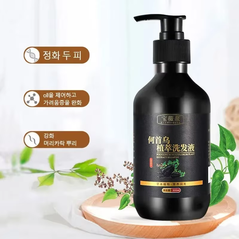 Shampoing à base de plantes Polygonum Multiflorum, contrôle de l'huile, contrôle des pellicules, sha