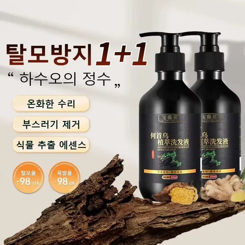 Shampoing à base de plantes Polygonum Multiflorum, contrôle de l'huile, contrôle des pellicules, sha