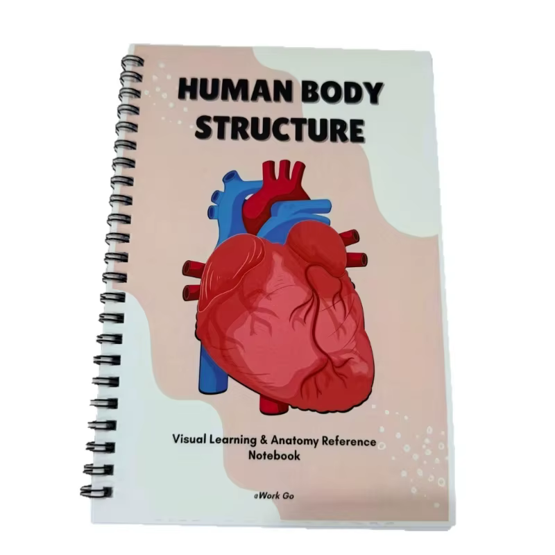 Cahier d'exercices détaillé sur le corps humain, parfait pour biologie l'enseignement des soins infi