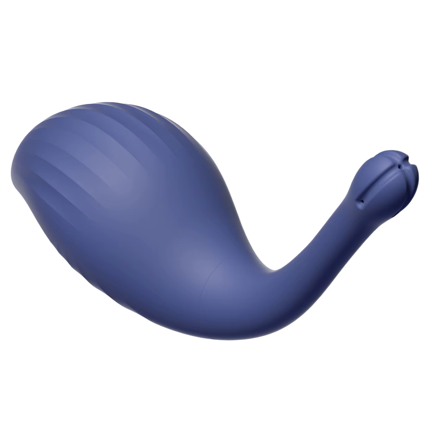 Accessoires de Bidet pour Hygiène Intime : Nettoyeur Portable, Douche, Seringue pour Lavement Rectal