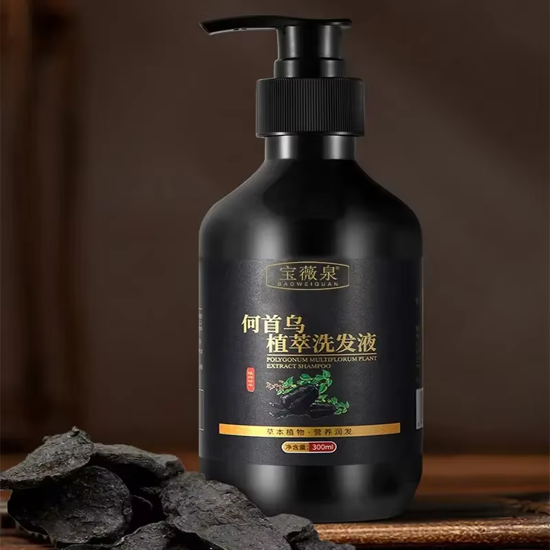Shampoing à base de plantes Polygonum Multiflorum, contrôle de l'huile, contrôle des pellicules, sha