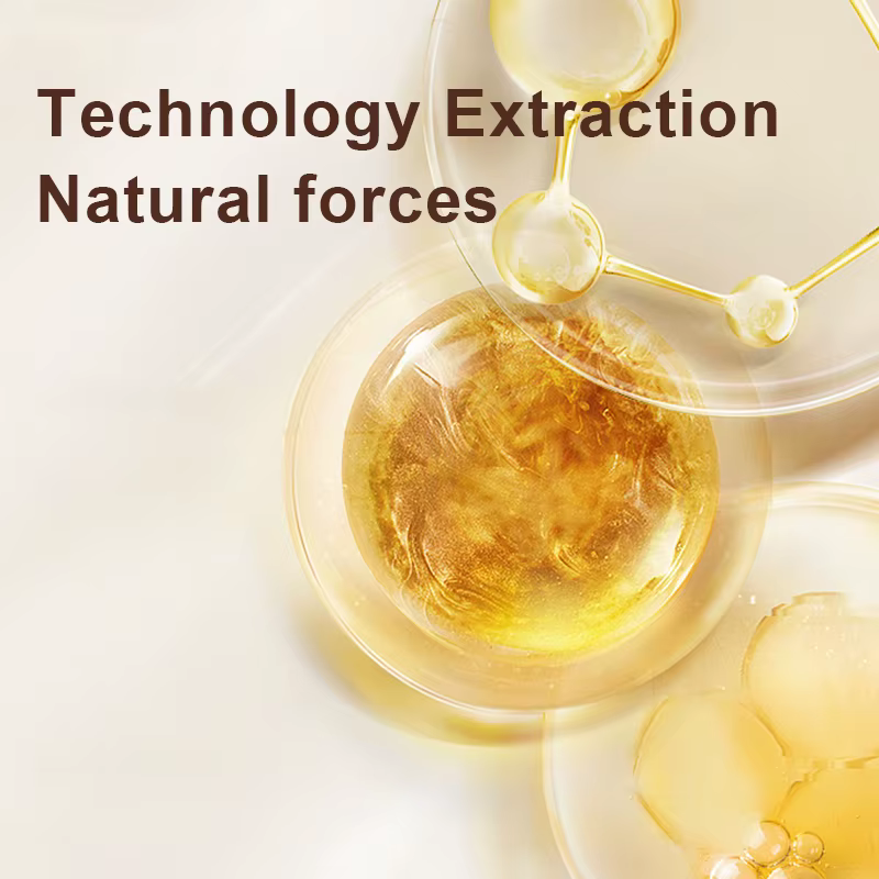 Zhang Guang 101 liquide nourrissant au Ginseng favorise la croissance des cheveux Anti-perte de chev