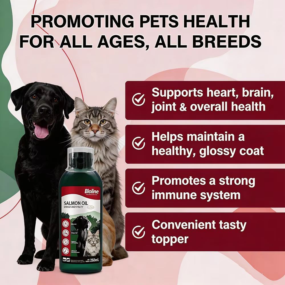 Huile de saumon Bioline 250 ml pour chiens et chats, huile de poisson, acides gras oméga, EPA et DHA pour animaux de compagnie, peau sensible, santé du pelage