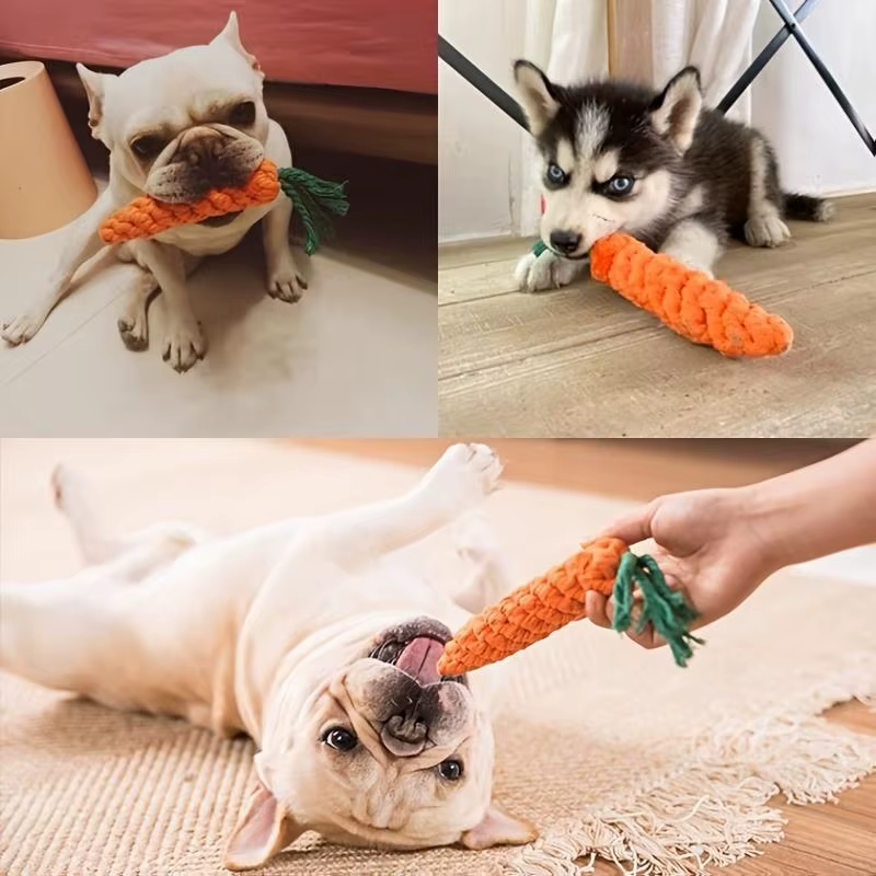 Jouet à nœud pour animaux de compagnie, 1 pièce, en forme de carotte pour chien et chat, jouets à mâcher, corde en coton, jouets d'intérieur pour chiens et chats, accessoires pour chiens
