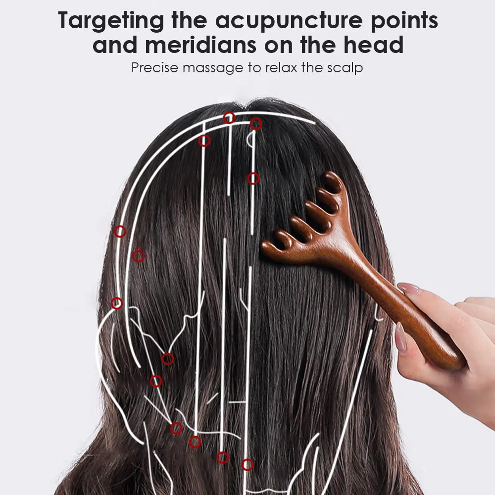 Peigne de Massage méridien en bois