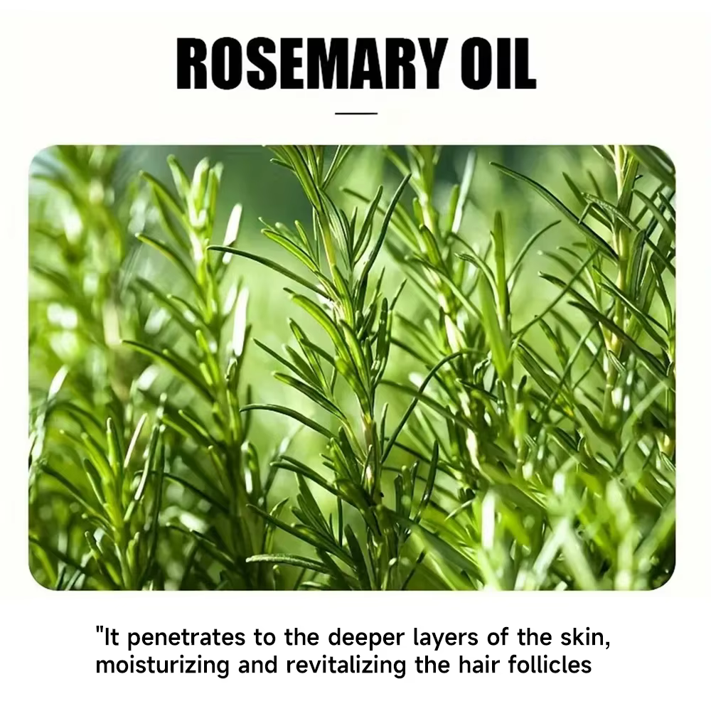 Huiles essentielles de romarin pour la croissance des cheveux