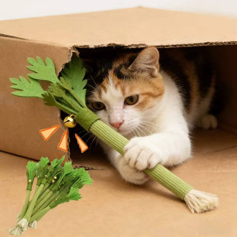 Jouets à mâcher pour chats, jouet à la catnip pour le nettoyage des dents, bâtonnets à mâcher interactifs pour chats, jouet à la catnip pour la mastication, jouet couineur à mordre pour chats