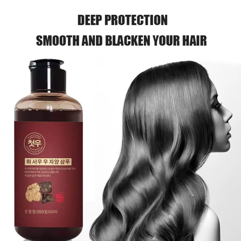 Polygonum-Shampooing pour cheveux multithorum
