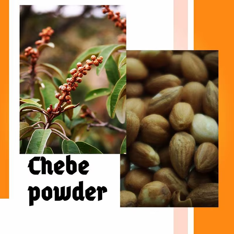 Je suis toujours choqué! Huile de croissance folle avec Chadian Croton Gratissimus lavande d'africaine du nord