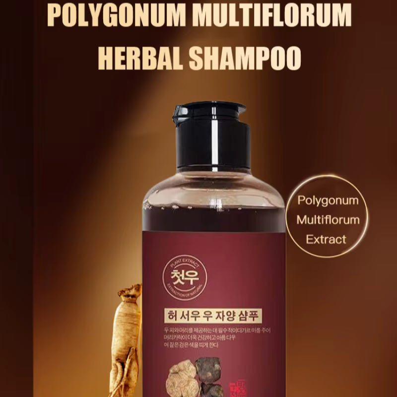 Polygonum-Shampooing pour cheveux multithorum