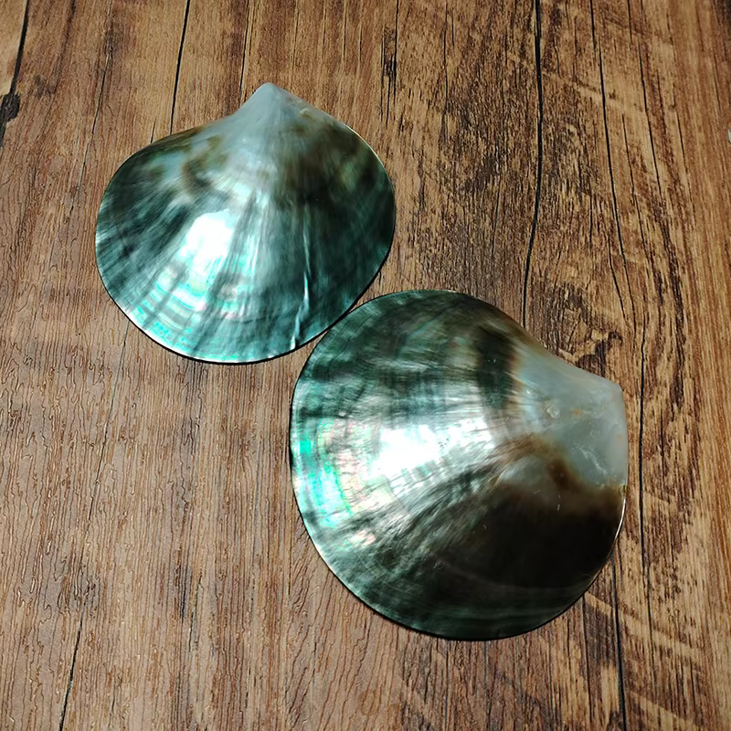 Coquilles de nacre noires polies Pinctada Margarilifera, coquille de mer, bijoux créatifs faits à la main, conteneur de Caviar de perles