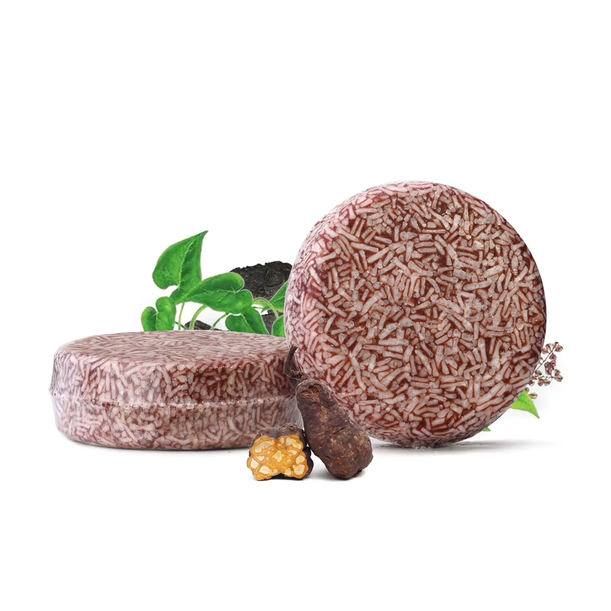 Shampoing végétal à base de plantes Polygonum Multiflorum