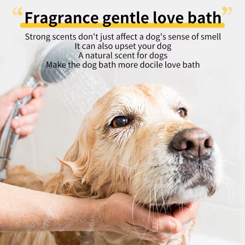 Shampoing revitalisant pour chien, bain pour animaux de compagnie, Gel douche doux, fournitures de bain générales, stérilisation, déodorant, démangeaisons parfumées, 500ML