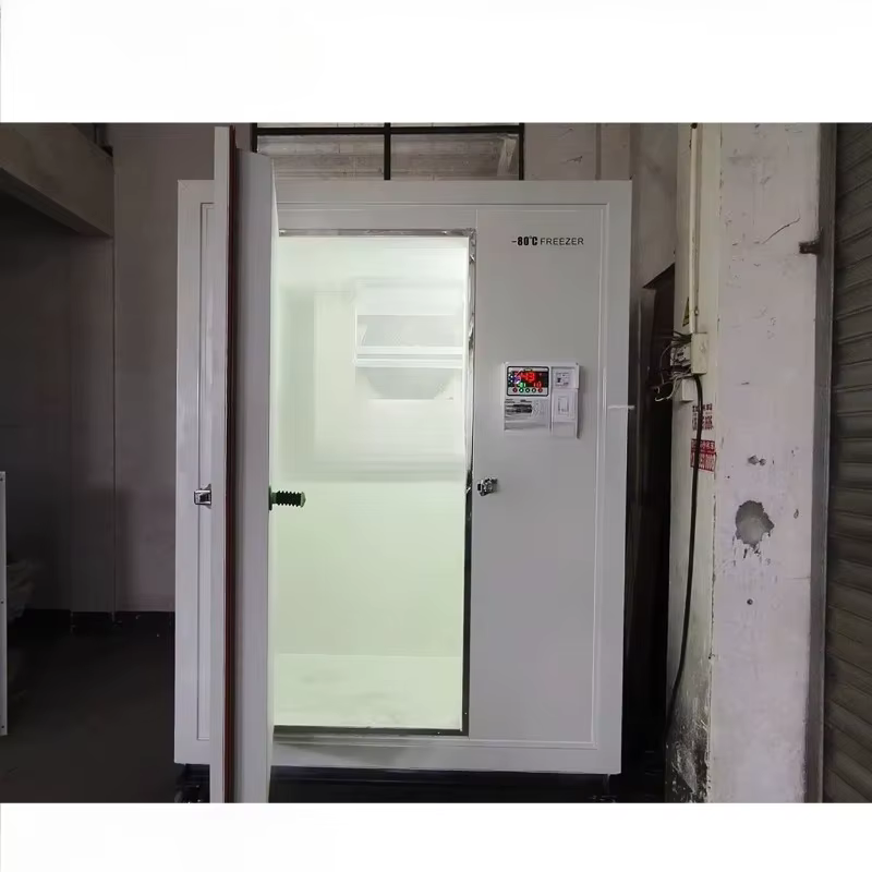 Personnalisé -80 ° Unité de stockage frigorifique mobile à basse température C 2,3*1,8*2,4m³ Congélateur Transport rapide Réfrigération