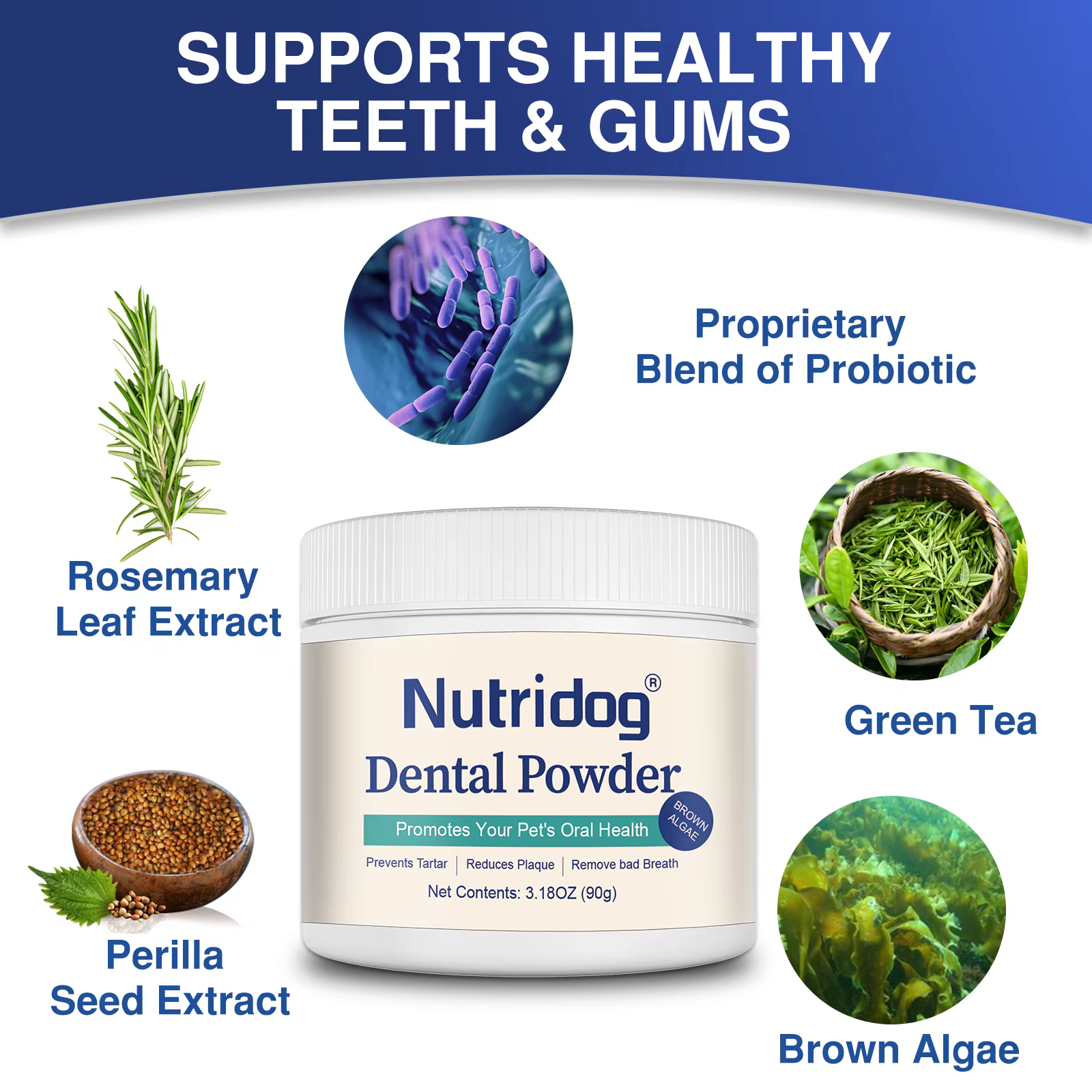 NUTRIDOG – poudre de soins dentaires avec dissolvant de Plaque de thé vert pour chiens et chats, prévient les maladies parodontales, mauvaise haleine