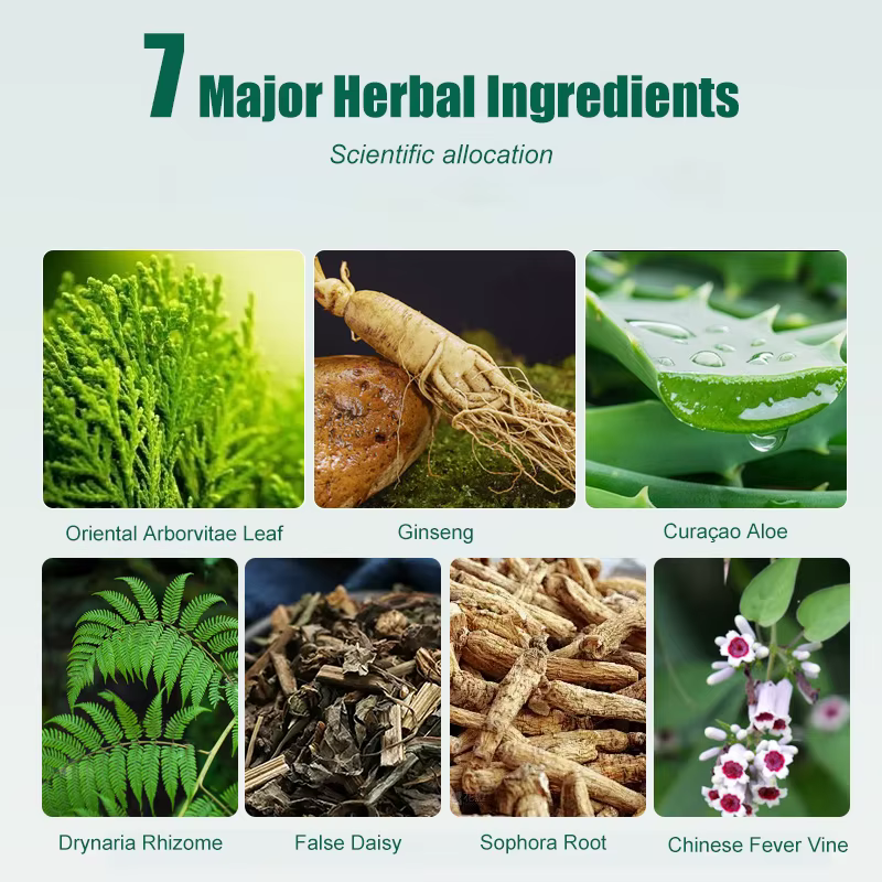 Zhangguang 101 shampooing de contrôle de l'huile d'épreuve de perte d'épaississement des cheveux 500g
