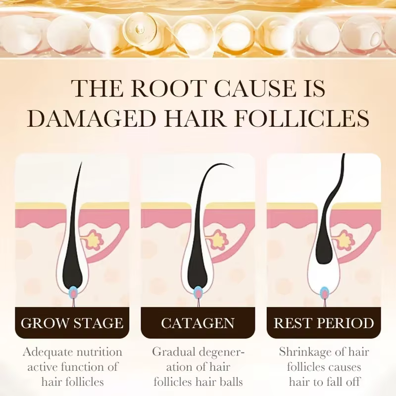 Traitement Essentiel de Repousse et de Croissance des Cheveux