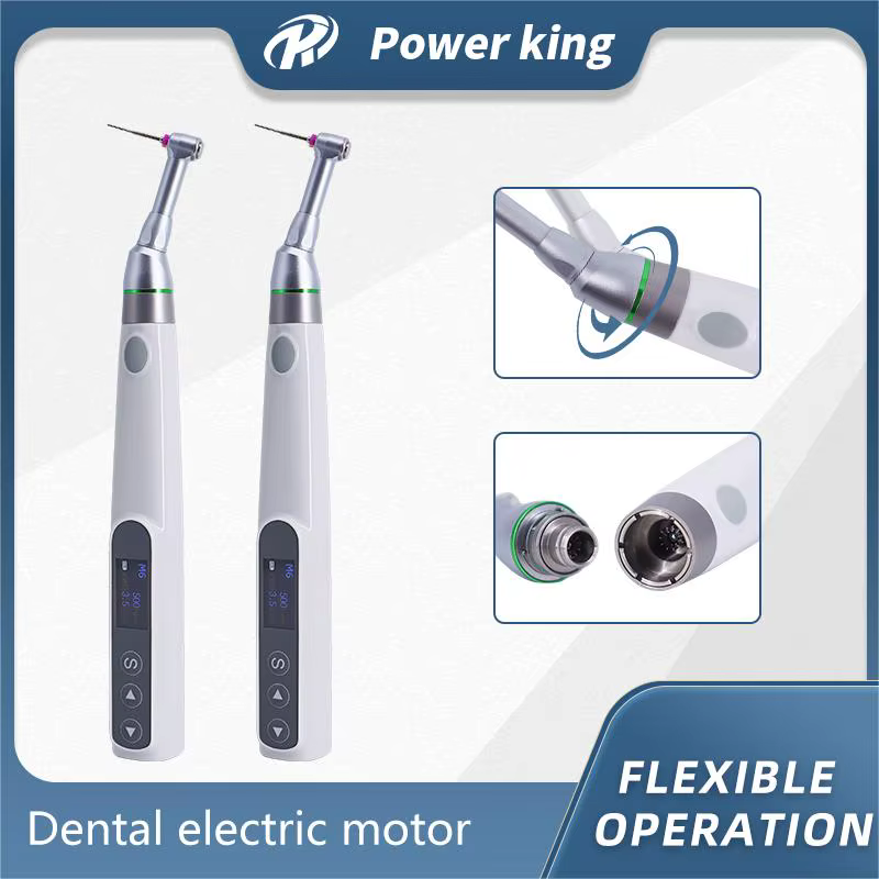 Moteur Endo dentaire, réduction 16:1, contre-Angle, traitement endodontique, thérapie du Canal radiculaire, Rotation sans fil à 360 degrés