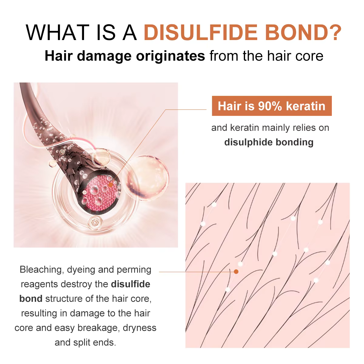 PURC masque capillaire disulfure liaison réparation frisottis sec endommagé prévenir la casse perte de cheveux lisse