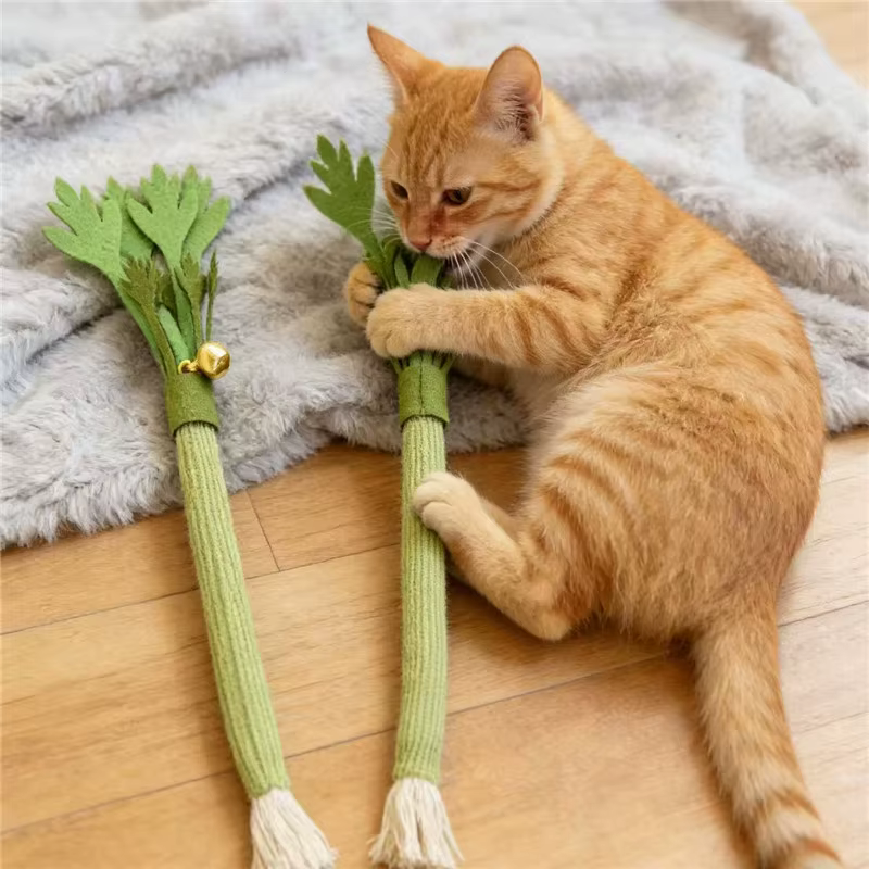 Jouets à mâcher pour chat, herbe-aux-chats, nettoyage des dents de chat, interactif, auto-jeu, bâton molaire, morsure, jouet grinçant pour chat