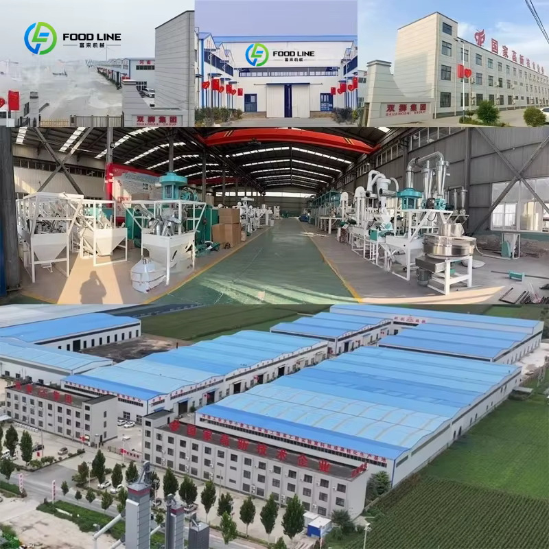 Ligne de production d'huile d'olive complète personnalisée, équipement de raffinage industriel automatique