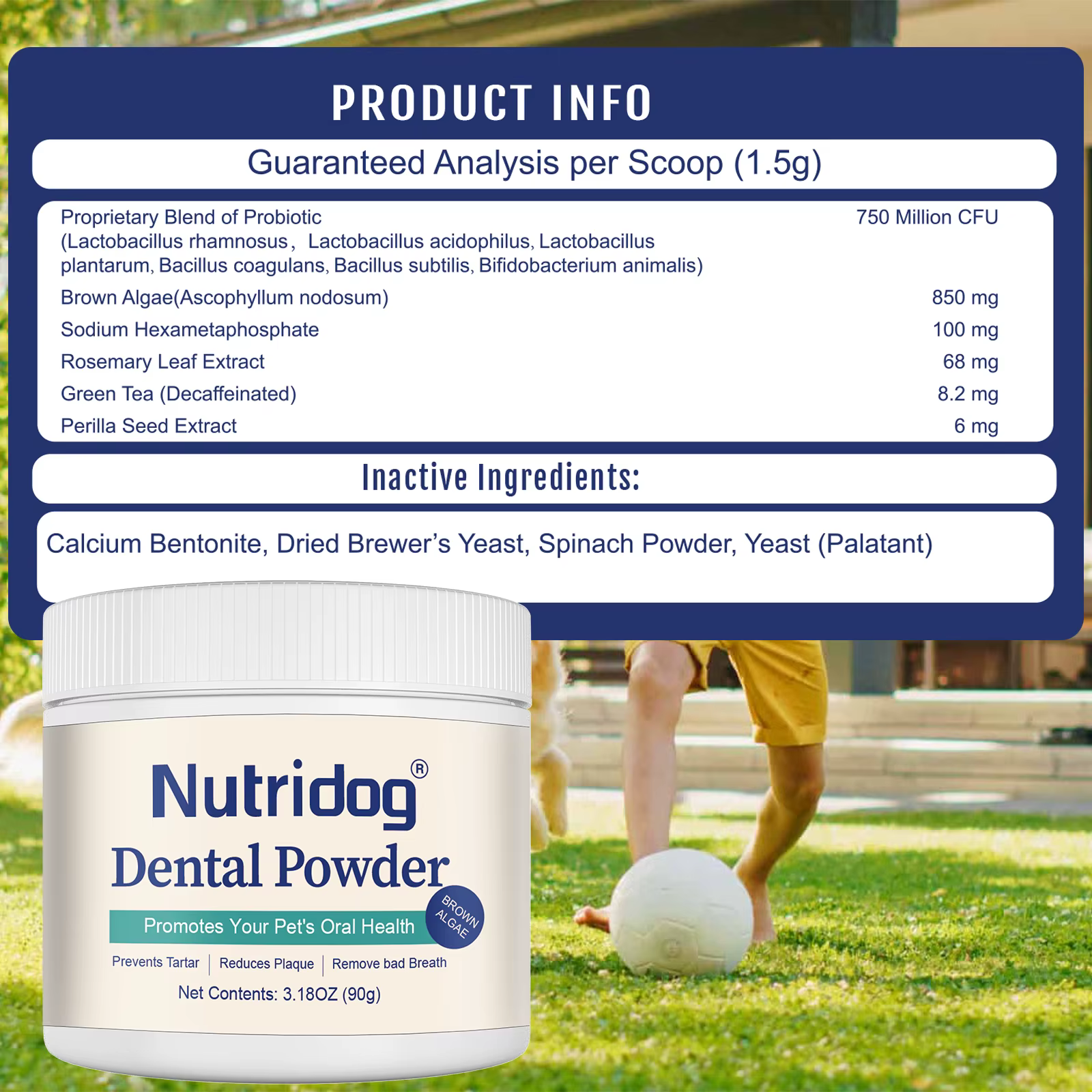 NUTRIDOG – poudre de soins dentaires avec dissolvant de Plaque de thé vert pour chiens et chats, prévient les maladies parodontales, mauvaise haleine