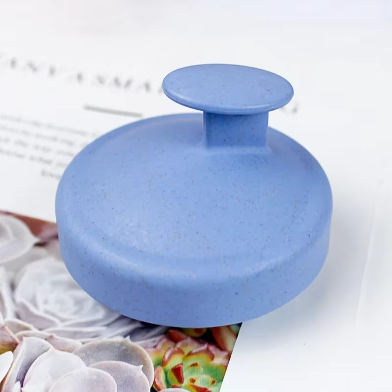 Brosse de massage pour cuir chevelu sec