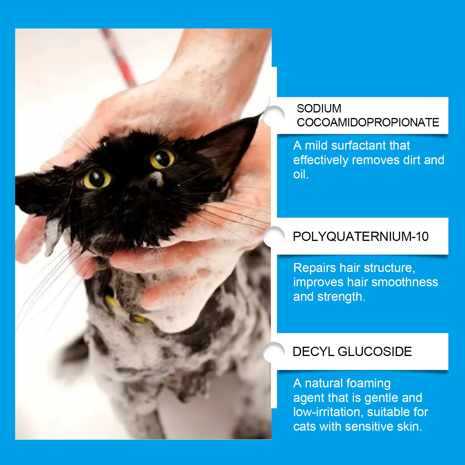 Shampooing pour chat sans eau, shampooing sec sûr à lécher, 60 ml, shampooing moussant doux pour chats, nettoyage en profondeur, soulage les démangeaisons cutanées