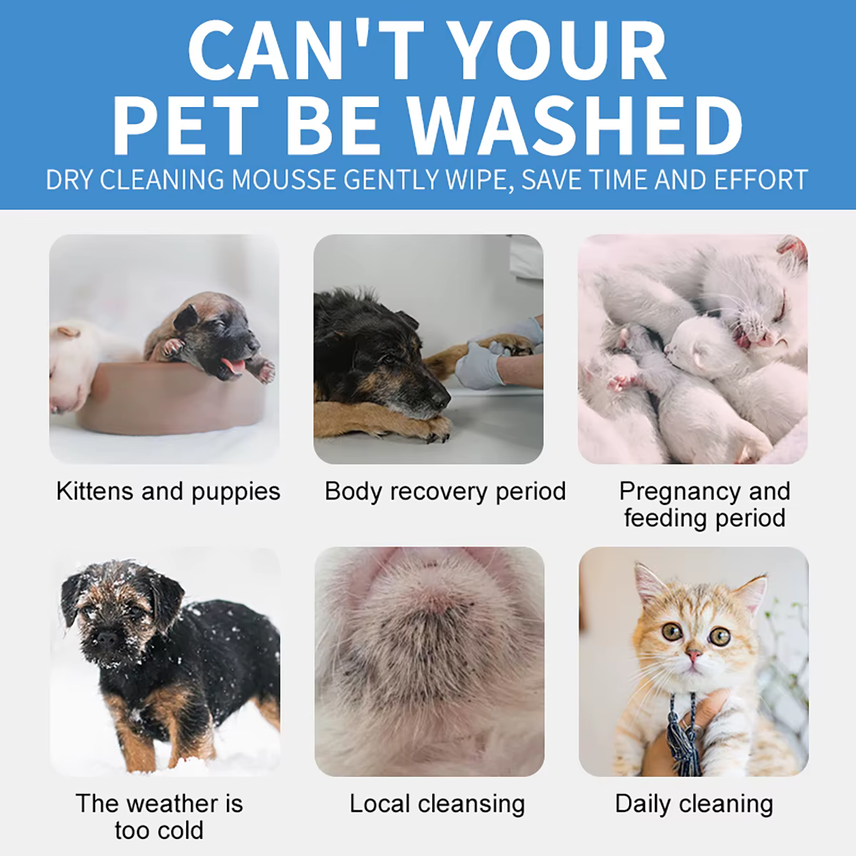 Mousse de shampoing sec pour animaux de compagnie, sans rinçage, mousse sans eau, désodorisante, nettoyage doux, toilettage quotidien pour chiens, chats, chiots à la maison
