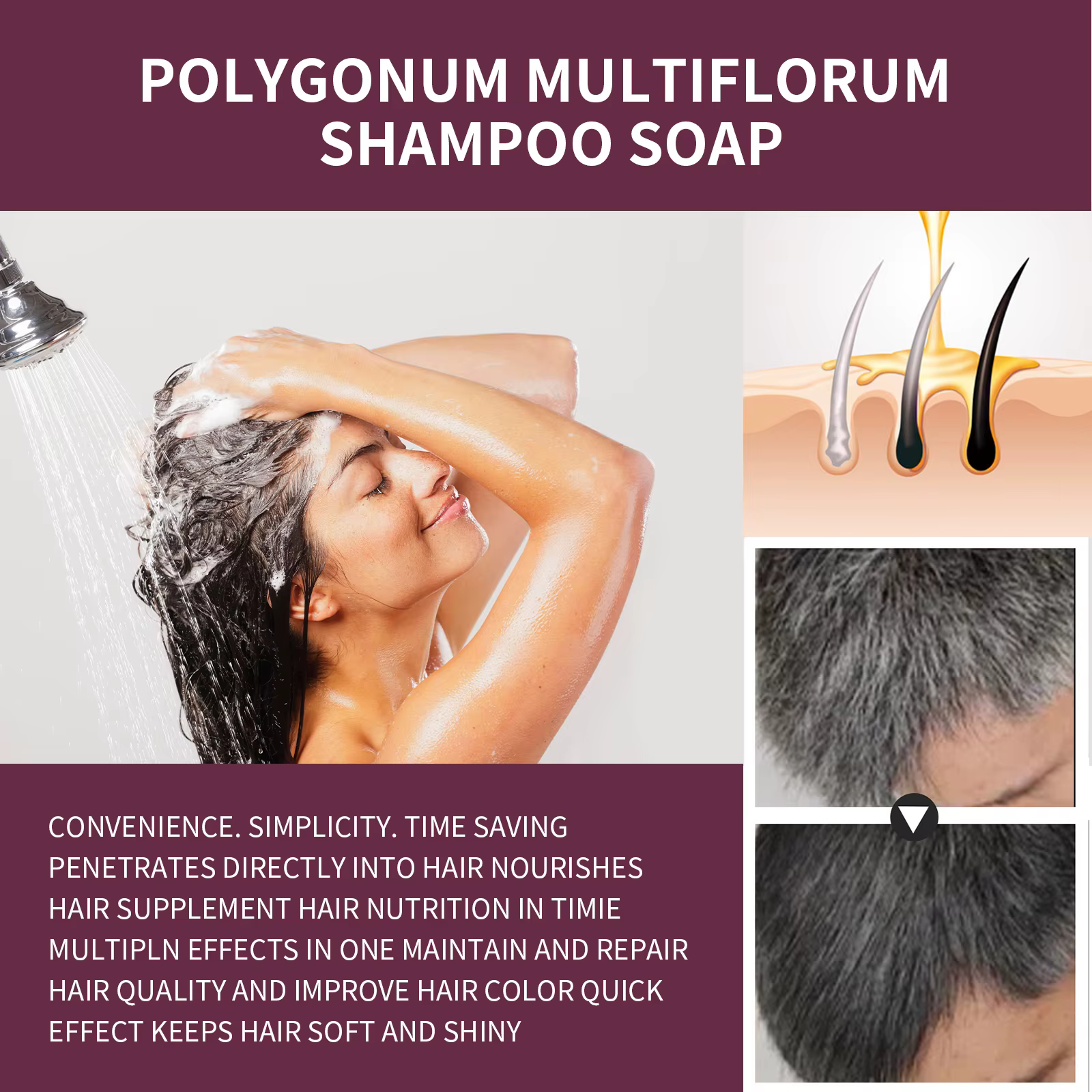 Polygonum Multithorum-Shampooing Regina