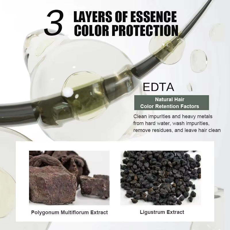 Zhangguang-101 Polygonum Multi Thorum Partners Document Shampooing