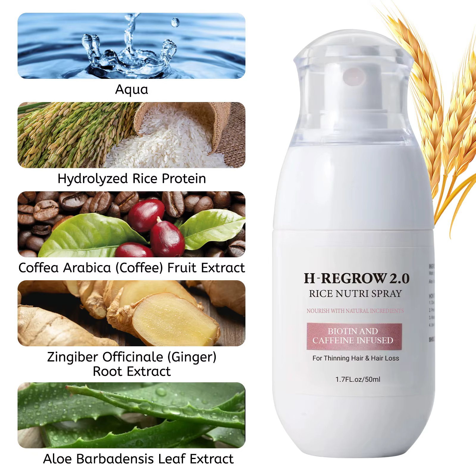 1-5 sprays activateurs de croissance des cheveux 50 ml - Son de riz