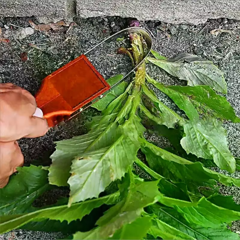 Outil de désherbage manuel à boucle en fer pour jardin - Conception à boucle en fer avec lames aiguisées - Outil de désherbage et de desserrage manuel