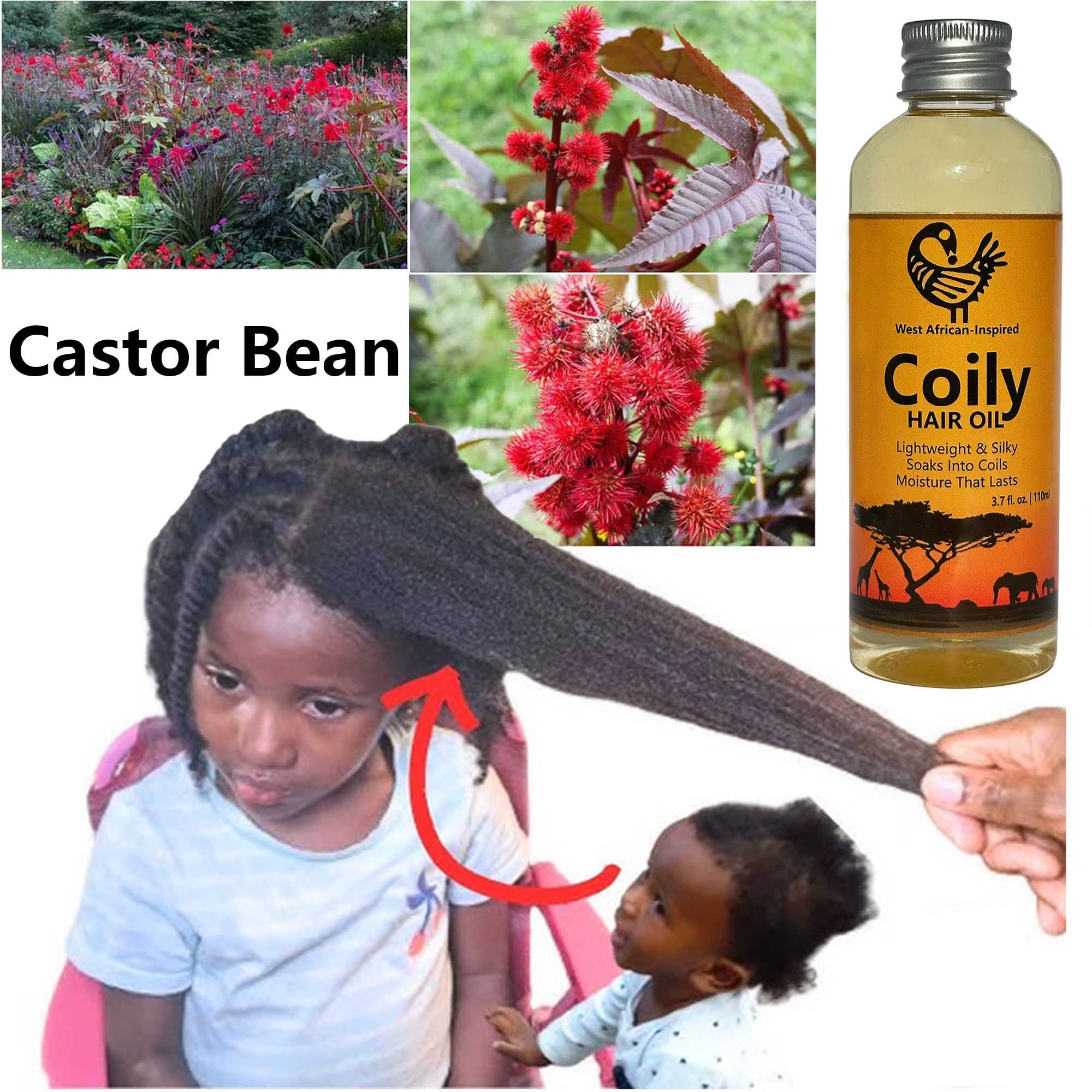 Huile pour cheveux crépus d'inspiration ouest-africaine de 110 ml avec romarin et ricin