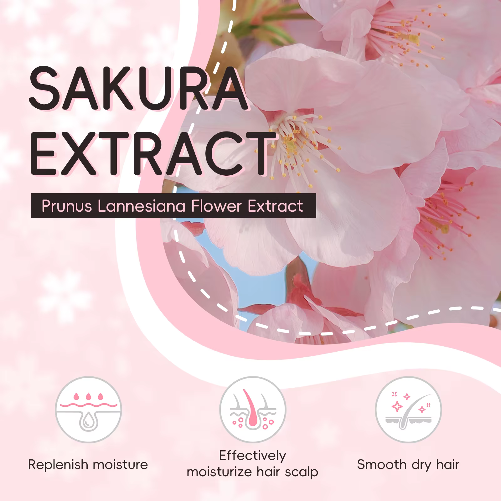 LAIKOU japon Sakura shampooing réparation Anti pointes fourchues cheveux secs crépus lisses