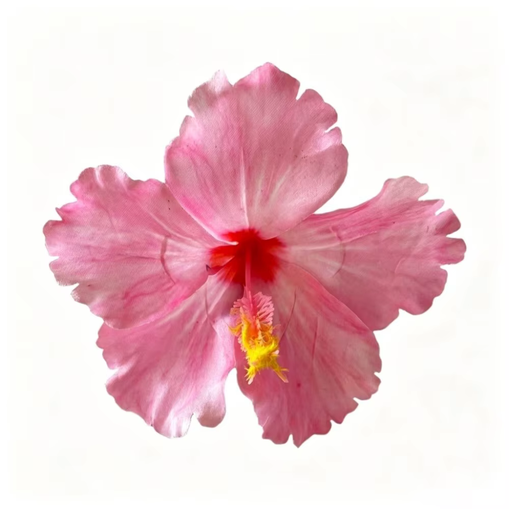 Accessoires pour cheveux : Pince à cheveux fleur d'hibiscus artificielle, style bohème, ne blesse pas les cheveux, pour franges, été