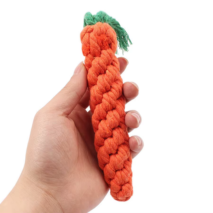Jouets à mâcher pour petits chiens, jouets pour chiens de compagnie, livres, dents, chiot, carotte, ULen coton, accessoires de jeu pour animaux de compagnie, degré de morsure