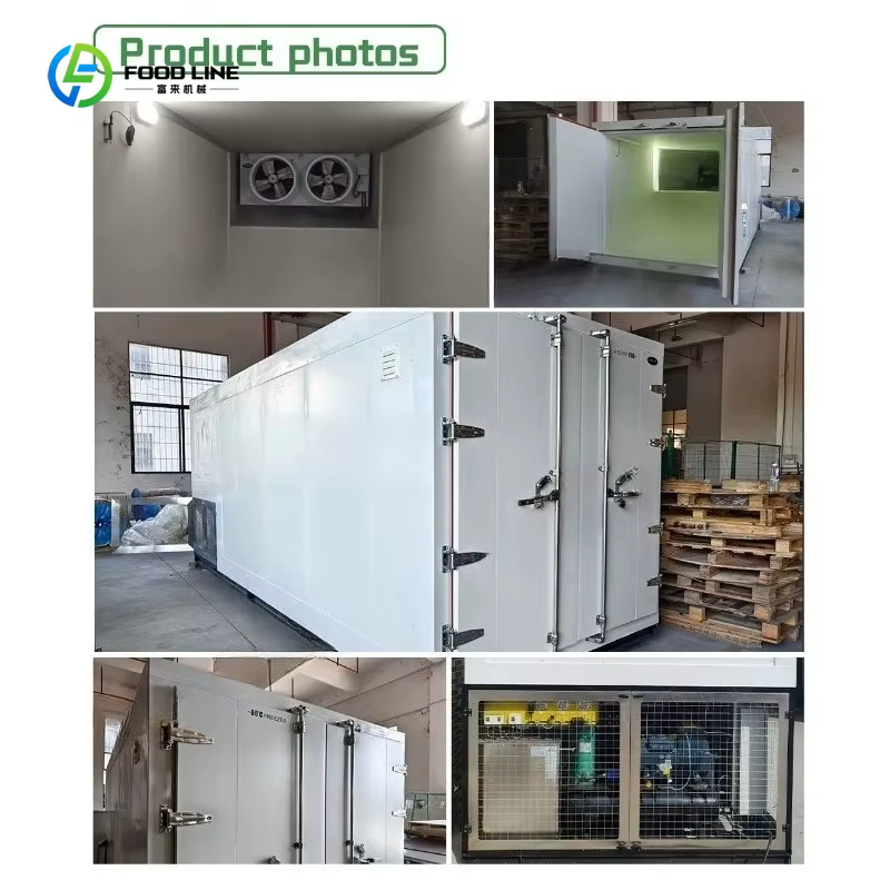 Personnalisé -80 ° Chambre froide mobile basse température C 2,3*1,8*2,4m³ Conteneur congélateur pour congélation rapide et transport réfrigéré