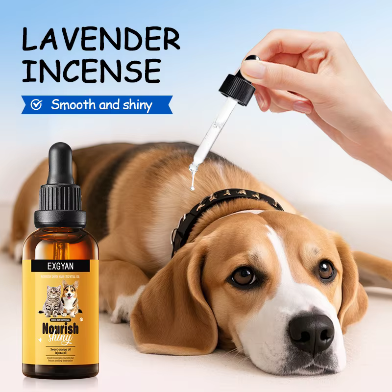 Huiles essentielles de soins capillaires nourrissantes et éclaircissantes pour chiens et chats, parfum lisse et durable, désodorisant