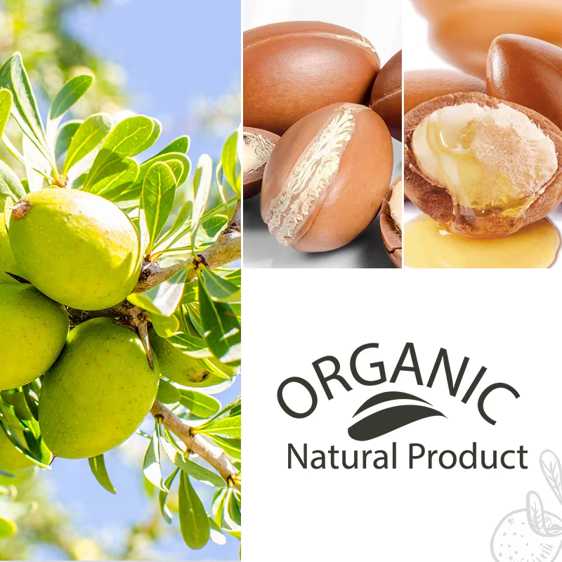 PURC – huile d'argan marocaine, traitement lissant pour cheveux, réparation des frisottis endommagés, produits de soins capillaires pour femmes, 100ml