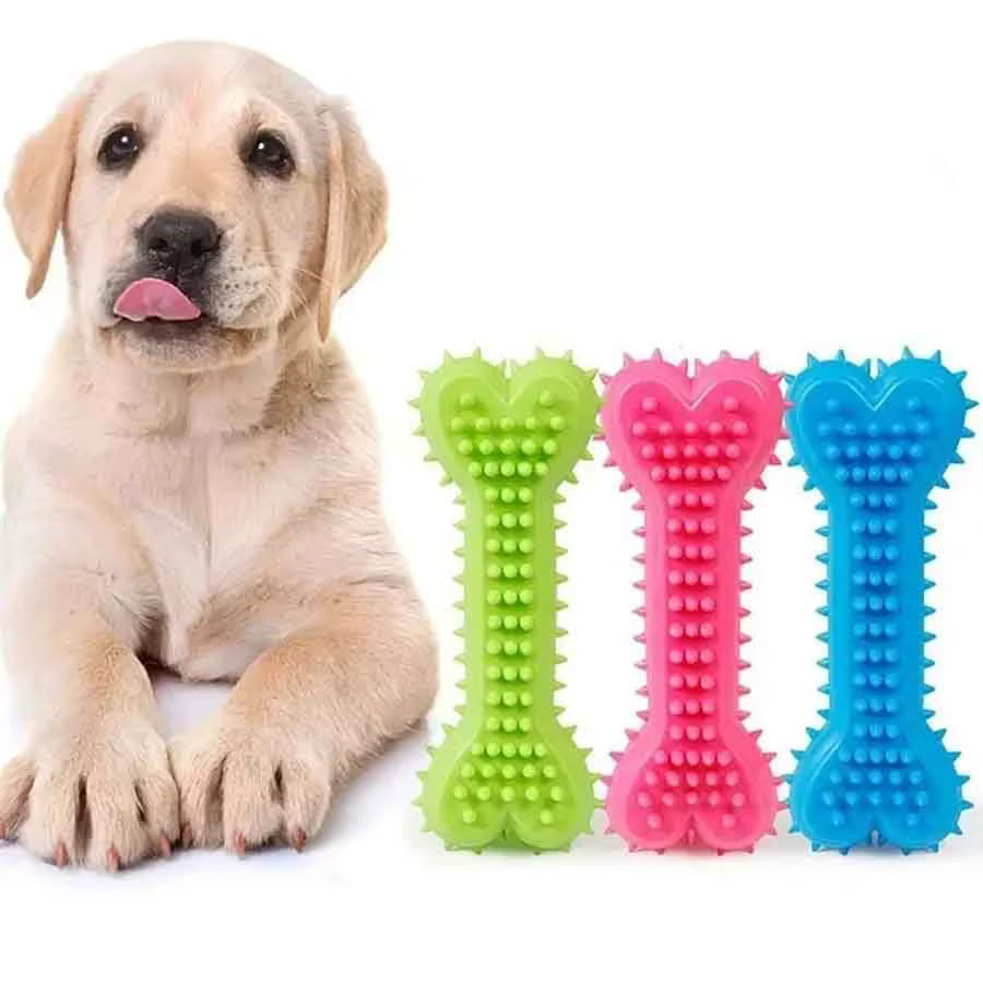 Jouets à mâcher en forme d'os pour chien, jouets à mâcher pour le nettoyage des dents, bâton de brosse à dents en caoutchouc pour chien, jouets à mâcher pour l'entraînement, 1/3 pièces