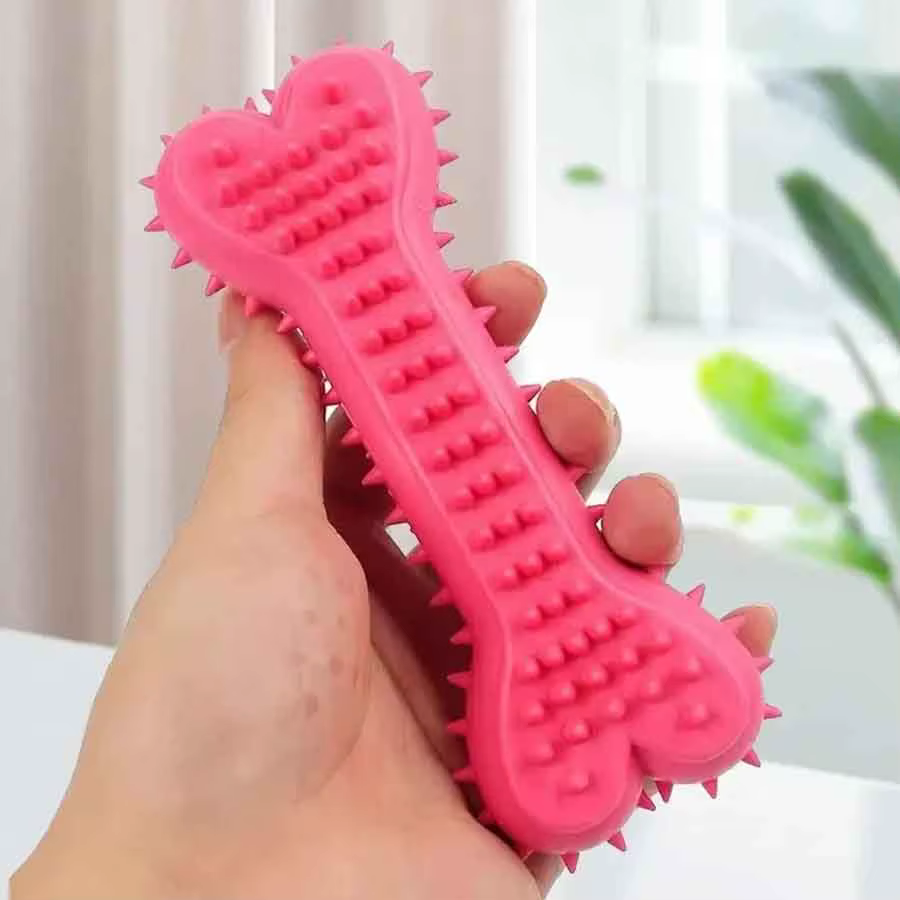 Jouets à mâcher en forme d'os pour chien, jouets à mâcher pour le nettoyage des dents, bâton de brosse à dents en caoutchouc pour chien, jouets à mâcher pour l'entraînement, 1/3 pièces