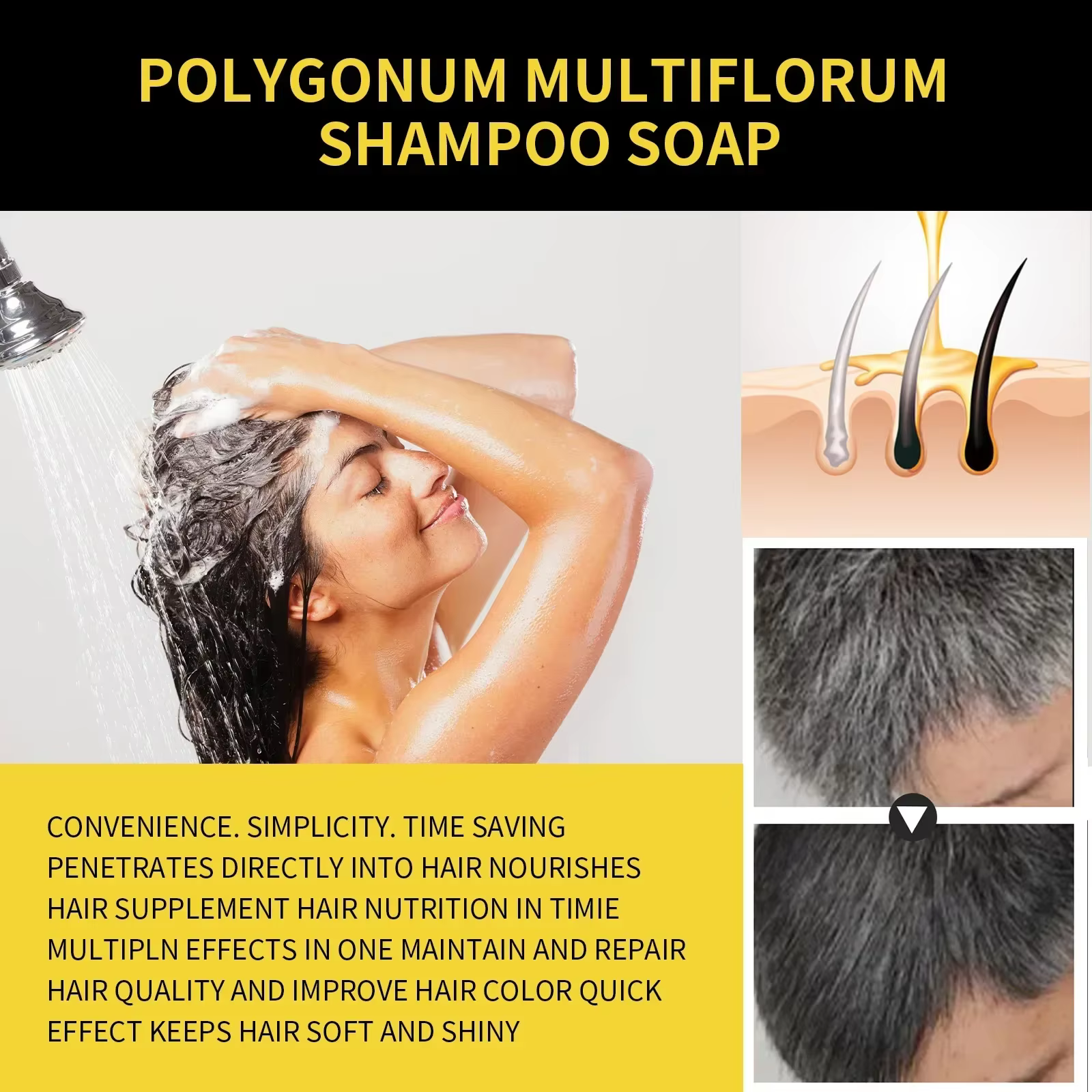 Shampooing 3 en 1 à base de plantes naturelles pour hommes et femmes